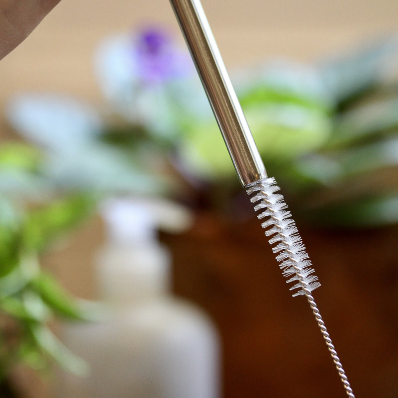 Stainless Steel Straws and Straw Brush