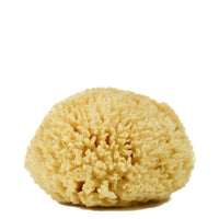 Wool Sea Sponge