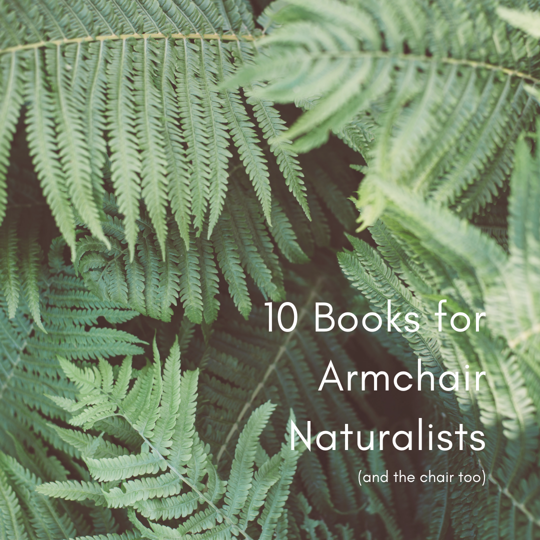 10 Best Nature Books with ferns