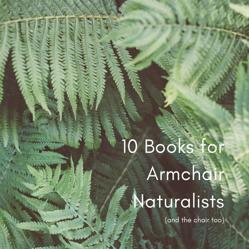 10 Best Nature Books with ferns