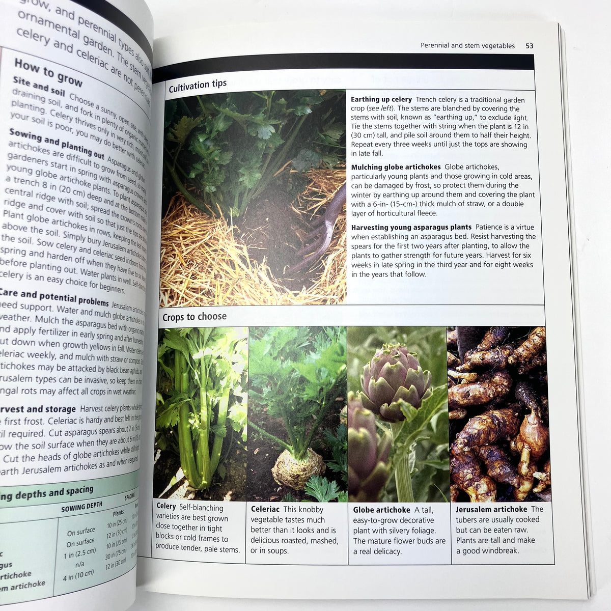 Vegetable Gardening Simple Steps To Success