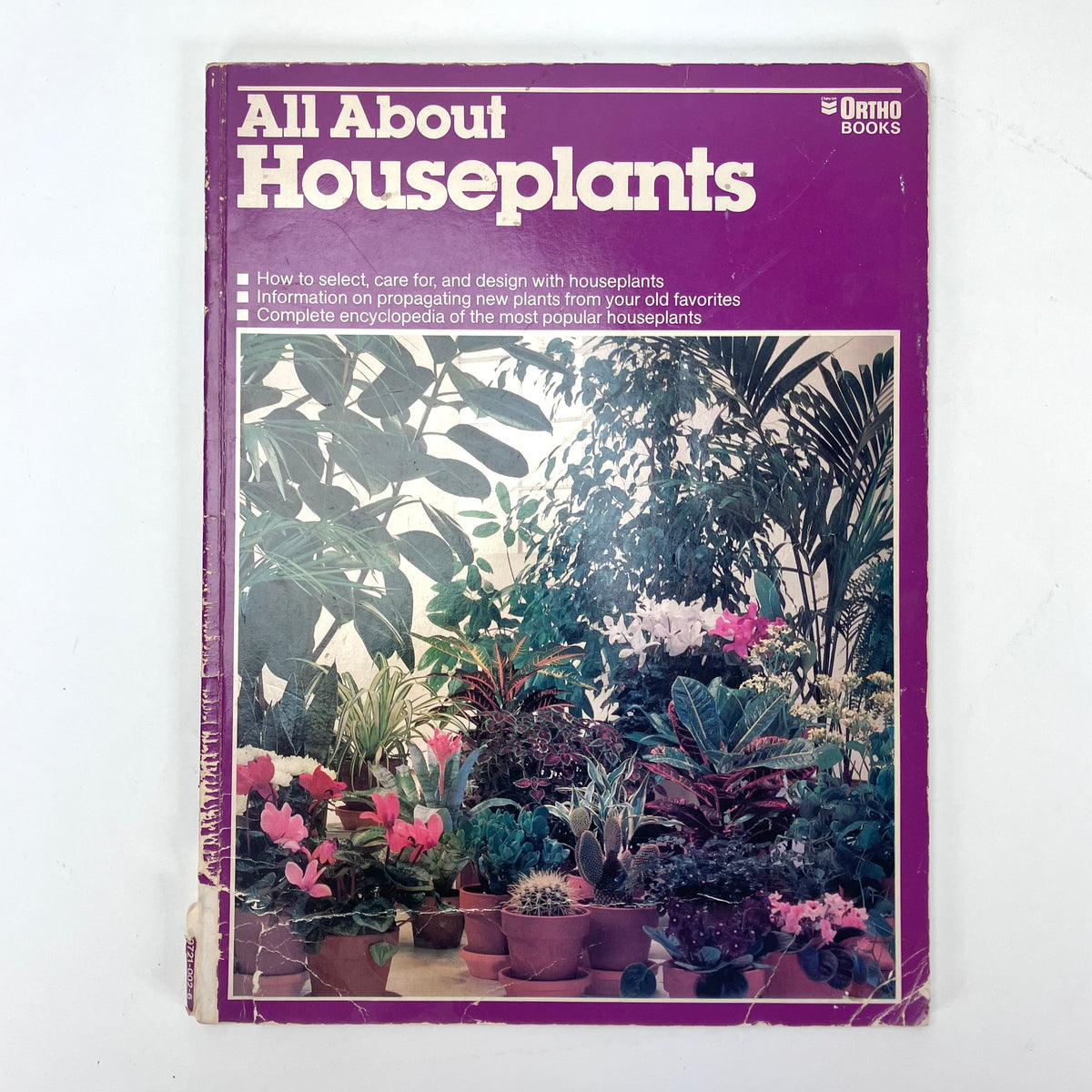 All About Houseplants
