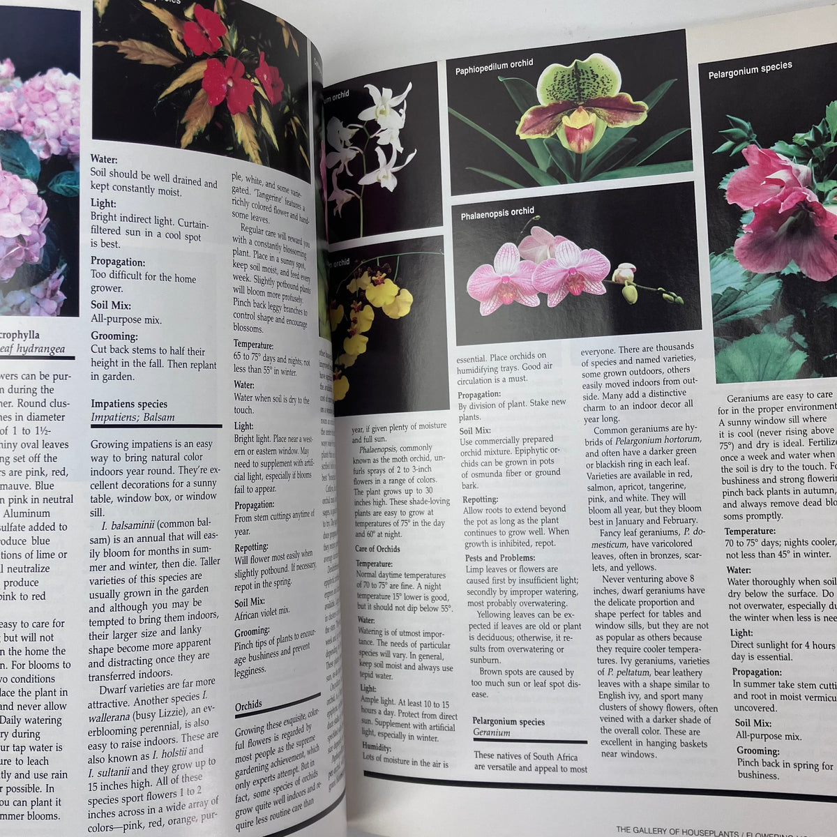 All About Houseplants