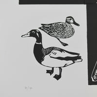 Birds of New York Limited Edition Linocut Print