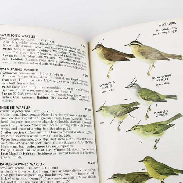 A Field Guide to the Birds East of the Rockies
