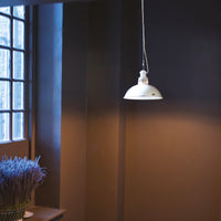 Paxo Pendant Light - Original BTC