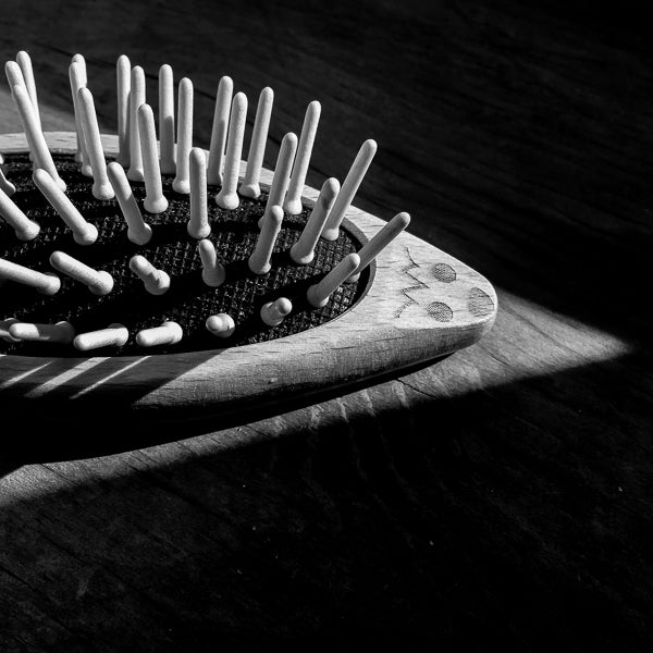 Wooden Hedgehog Hairbrush