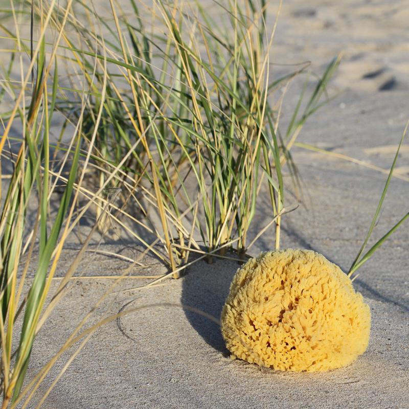 Yellow Sponge On Stick – Spongeorama Sponge Factory – Tarpon