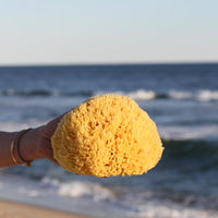 Yellow Sea Sponge Bath Brush