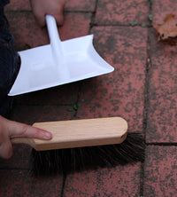 Mini Dust Pan and Brush